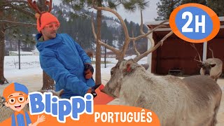 Download lagu Blippi se Diverte com as Renas | ๐ MARATONA DO BLIPPI! ๐ต Vรญdeos Educativos em Portuguรชs mp3 Download lagu Blippi se Diverte com as Renas | ๐ MARATONA DO BLIPPI! ๐ต Vรญdeos Educativos em Portuguรชs mp3