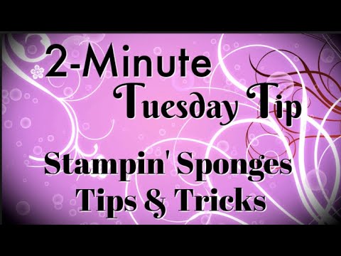 Simply Simple 2-MINUTE TUESDAY TIP - Stampin' Sponges Tips & Tricks by Connie Stewart