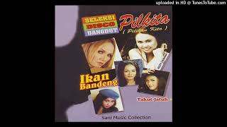 Download lagu Ade Irma - Janda Muda mp3