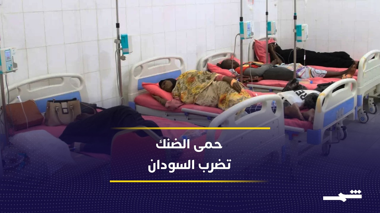 فيديو | حمى الضنك تجتاح السودان.. هل تتحول الكارثة الصحية إلى وباء خارج السيطرة؟