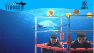 DIA 2 Expo Tiburon174