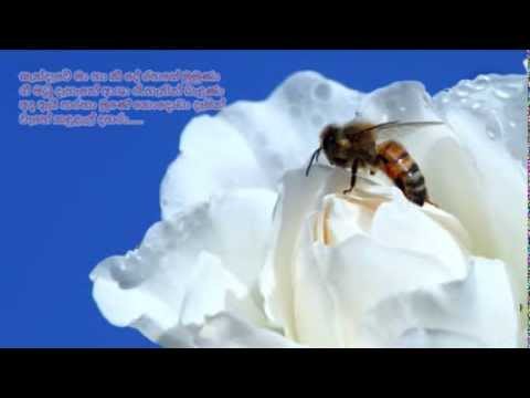 Sandawe Ma Ha Kee De - සැන්දෑවේ මා හා කී දේ