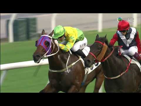 2021/22 (064) - Trillion Win (必長勝) - 巴度 (熱身後增程出撃信心十足閘前落重飛得手)