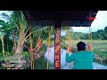 Bagongon Mini Farm Park Located Sitio Gumunab Brgy Magsasaka San Fernando Masbate