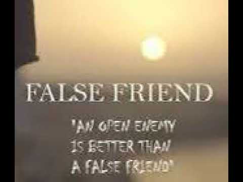Nevaramo, Teesha Rain - False Friend (432Hz)