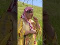Iran Village Life Irani Dehati Log Shorts Village Iran