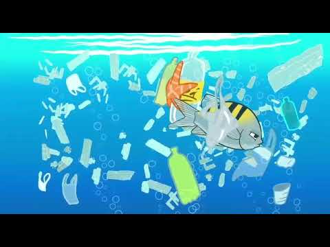 Conheça a A Batalha da Natureza - Uma Série animada