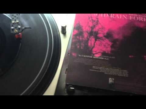 Acid Rain Forest / H.Garden feat: Joi - Calyptic Rhythm