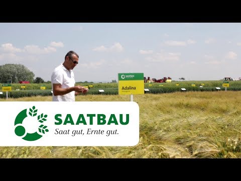 ADALINA - Edles zum Veredeln