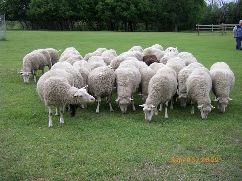 Part 1 Clone Game at KPG, Kamloops B.C. (airsoft game play).