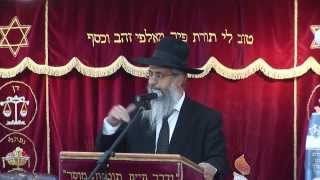 הלכות חג השבועות ותלמוד תורה | מועדים | הרב יורם סרי