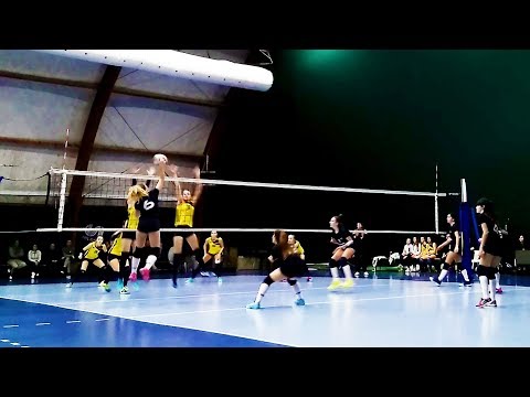 Pallavolo U14F - quadrangolare - Polisportiva Vedanese  vs  Pro Victoria Netweek
