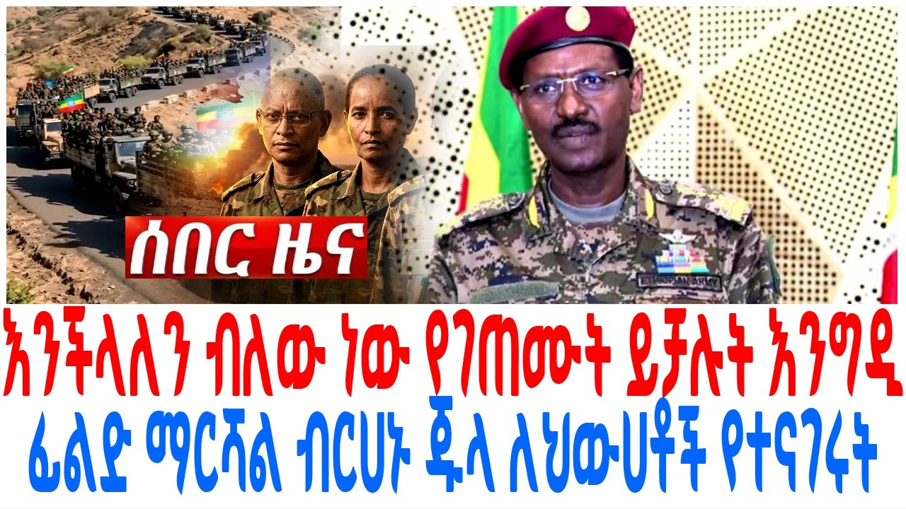 እንችላለን ብለው ነው የገጠሙት ይቻሉት እንግዲ ፊልድ ማርሻል ብርሀኑ ጁላ ለህውሀቶች 