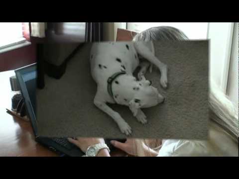 Noah, Aloha and Christi