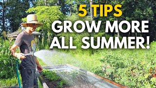 5 Tips to Keep Your Garden Producing All Summer