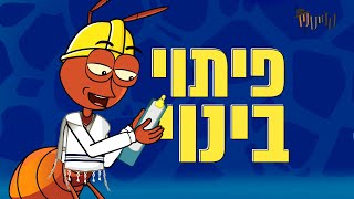 קנייטש | פיתוי בינוי (בחסות אבן&חנוך)