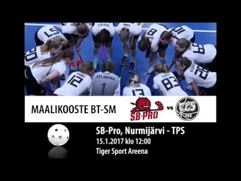 Maalikooste BTSM SB-Pro - TPS 15.1.2017