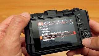 Canon R50V | Setting Zebra and False Color Quirks