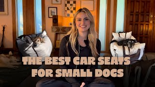 The Best Car Seats for Small Dogs | Safe, Comfortable & Tiki