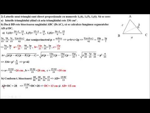 GEOME.RADU - TRIUNGHIUL - E.N.