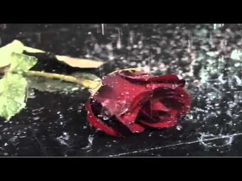 Synthloverz Feat Lida - Passion