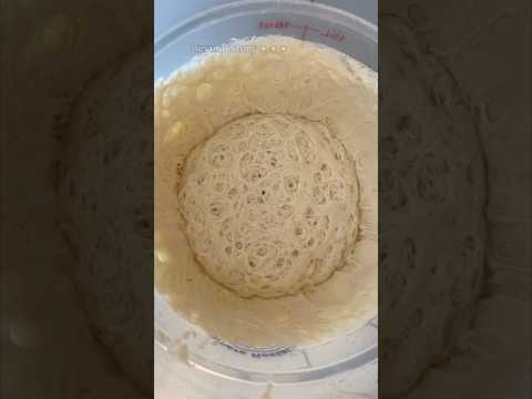 How to Make Sourdough Starter 👨‍🍳