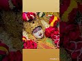 Meldi Ma Status Meldi Ma New Status Meldi Ma Status Meldi New Ringtone Meldi Ma Songs Meldi New