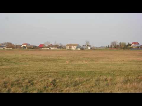 Spacer po nadwarciańskim łęgu