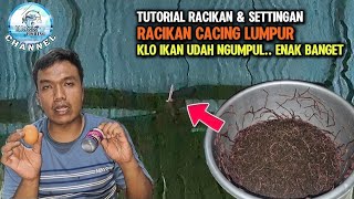 Download lagu CARA MERACIK CACING LUMPUR‼️CARA SETINGAN KAIL, STOPPER & PELAMPUNG || MAIN NITIK ENAK BANGET mp3