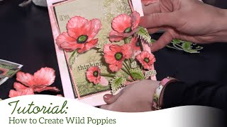 How to Create Wild Poppies