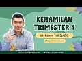 Fase Dan Gejala Kehamilan Di Trimester 1 Pada Ibu Hamil TanyaDokterKeven