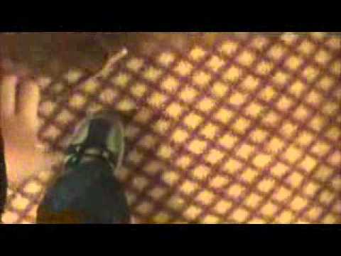 Full Hotel Tour- Hilton Garden Inn Bangor ME