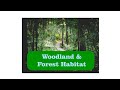 Woodland & Forest Habitats