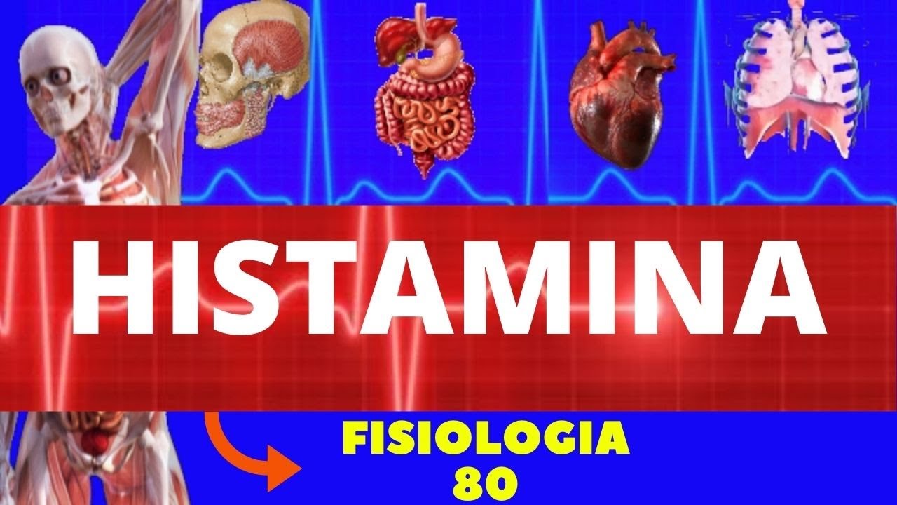 HISTAMINA - NEUROTRANSMISSOR (FISIOLOGIA DE GUYTON) - FISIOLOGIA DA HISTAMINA - NEUROFISIOLOGIA