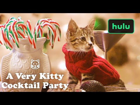 download lagu mp3 mp4 Kitty Highball, download lagu Kitty Highball gratis, unduh video klip Kitty Highball
