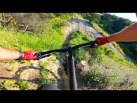 EXPLORING NEW MOUNTAIN BIKE TRAILS!