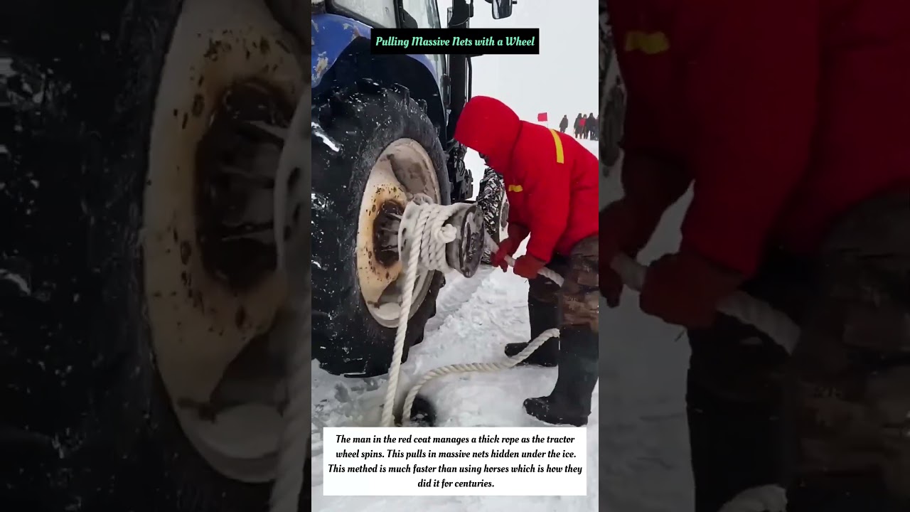 Pulling Massive Nets with a Wheel