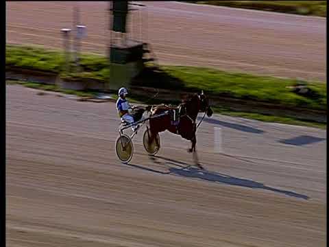 Trotto 21/06/2018 - 2ª prova di qualifica