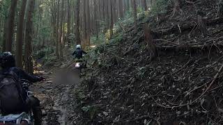 石と根っこと細い登坂　XR250