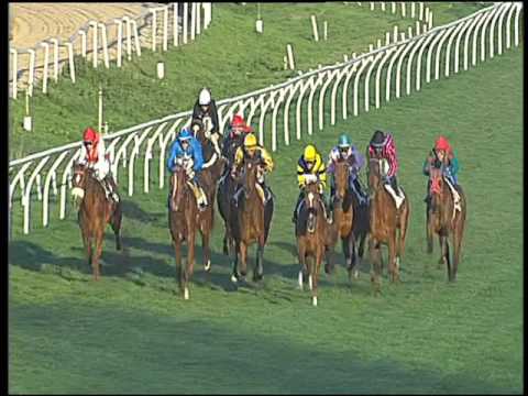 Galoppo 20/02/2016 - 5° corsa