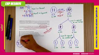 O Brasil Possui Um Grande Número De Espécies