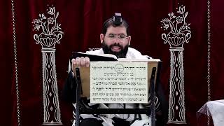 זבחים דף צ"ב ע"ב ¤ הרב נתנאל אברז'ל ¤ בית הכנסת "בית מרדכי" (מוסדות תורת דוד) - התמונה מוצגת ישירות מתוך אתר האינטרנט יוטיוב. זכויות היוצרים בתמונה שייכות ליוצרה. קישור קרדיט למקור התוכן נמצא בתוך דף הסרטון