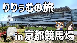 【りー旅】NEW京都競馬場、念願のライスシャワー碑へ！人生初競馬もやってみた！【日本ダービー・淀駅周辺】【第7弾】