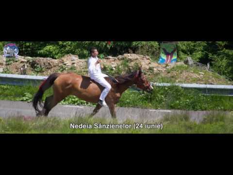 Descopera Straja in 360 zile la Pensiunea Adriana***