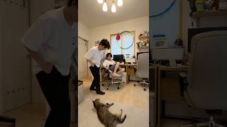 かっこよくないマイケルジャクソン #ブラザー4 #shorts