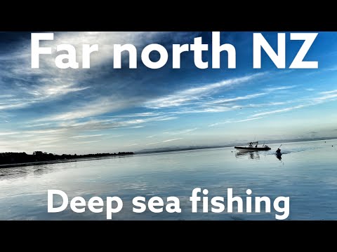Deep sea fishing / searching for Hapuka / far north nz