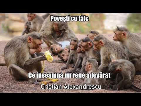 Povestea Regelui Cu Patru Neveste Si Povestea Regelui Care Cauta Fericirea * Povesti Cu Talc