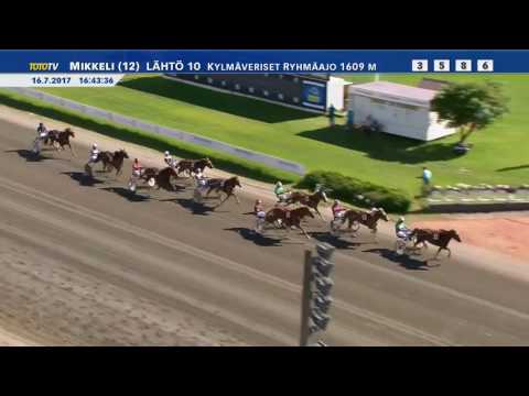 St Michel Tammatähti 2017 - Akaasia