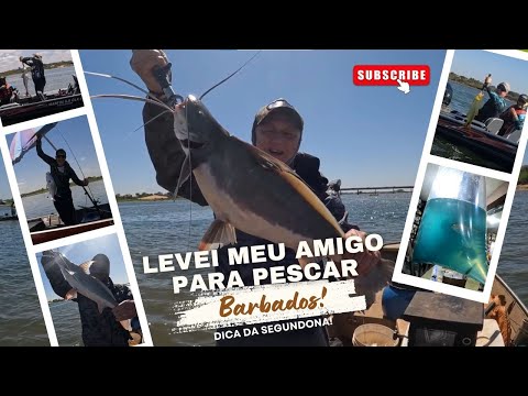 🎣LEVEI PARÇA TARCISIO PARA PESCAR BARBADOS!🎣LAMBARI DE MENTA PEGA MESMO!🌿