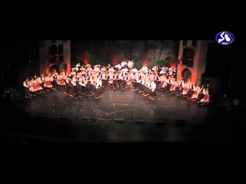 Ansambl VILA / Folk dance group VILA - Leskovac: "Stani, rado, bela rado" (SNP, 22.06.2013.)